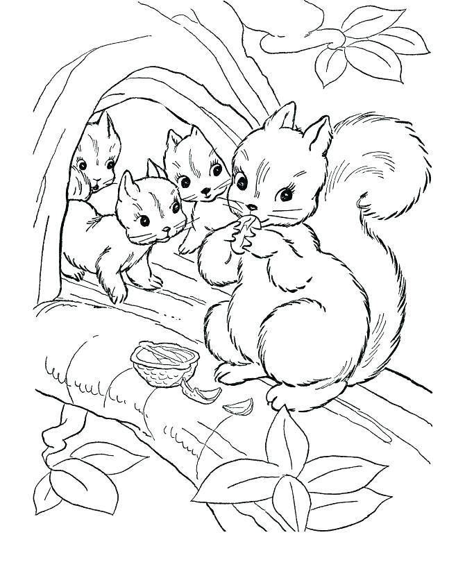 670x820 Forest Animals Coloring Pages Animals Coloring Sheet Wild Animal
