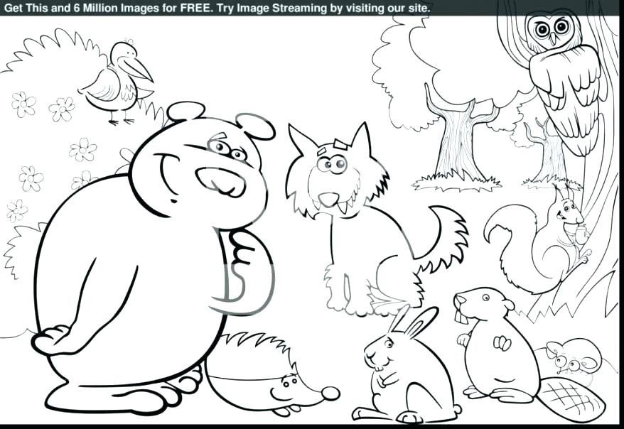 878x604 Forest Animals Coloring Pages Forest Animal Coloring Pages Awesome