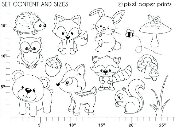 570x413 Forest Animals Coloring Pages Woodland Animals Coloring Pages
