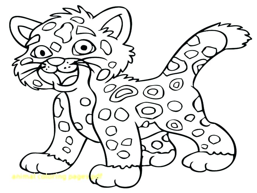 878x659 Forest Animals Coloring Pages Icontent