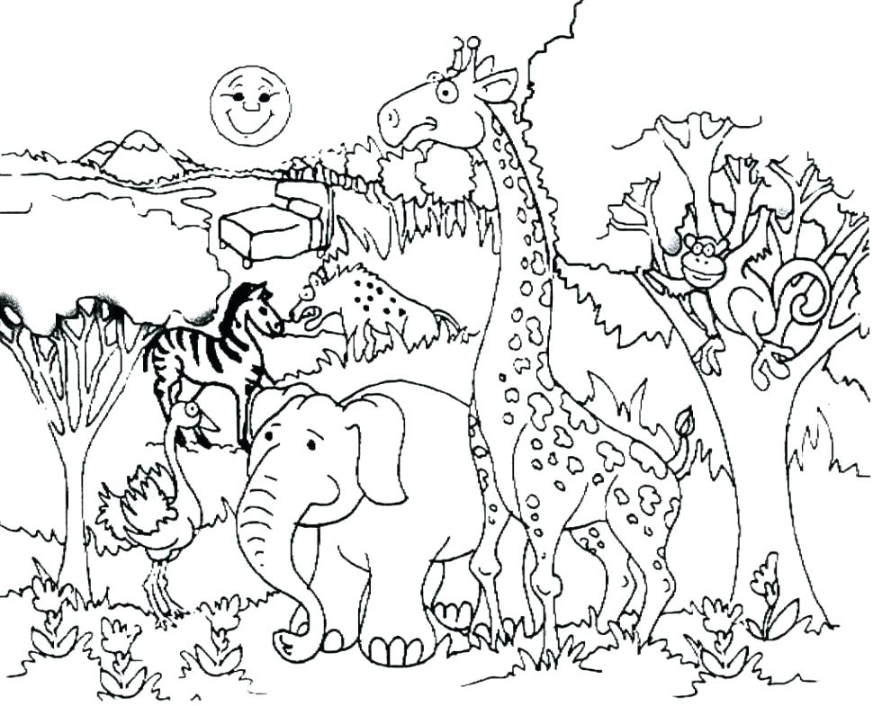 970x785 Coloring Pages Of Animals Forest Animal Coloring Pages Animals