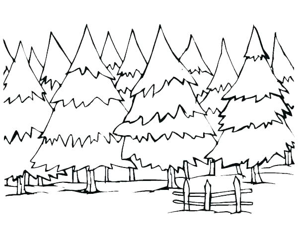 600x493 Forest Coloring Pages Coloring Pages Forest Forest Coloring Sheets