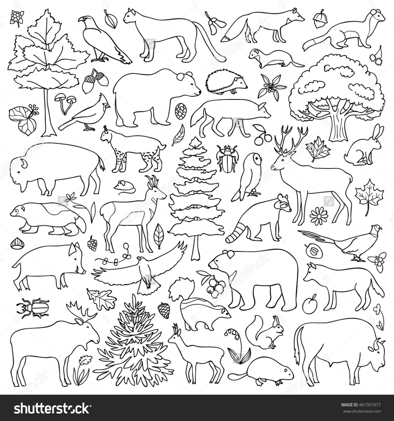 1500x1600 Forest Animals Coloring Pages