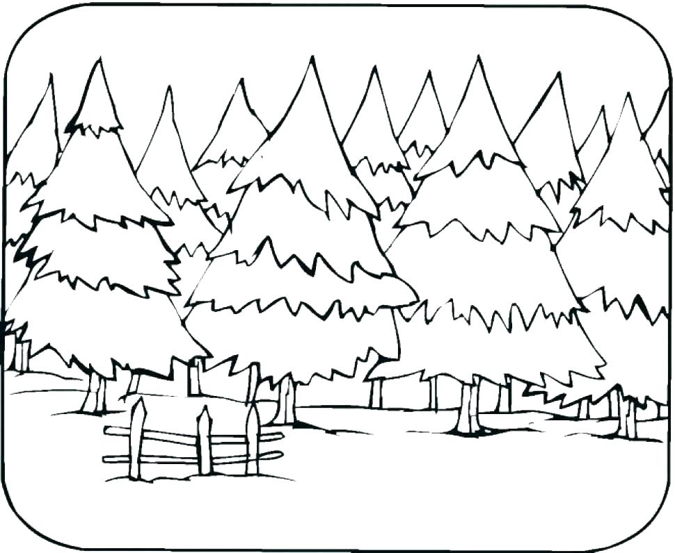 970x796 Forest Coloring Forest Coloring Pages Animal Habitat Coloring