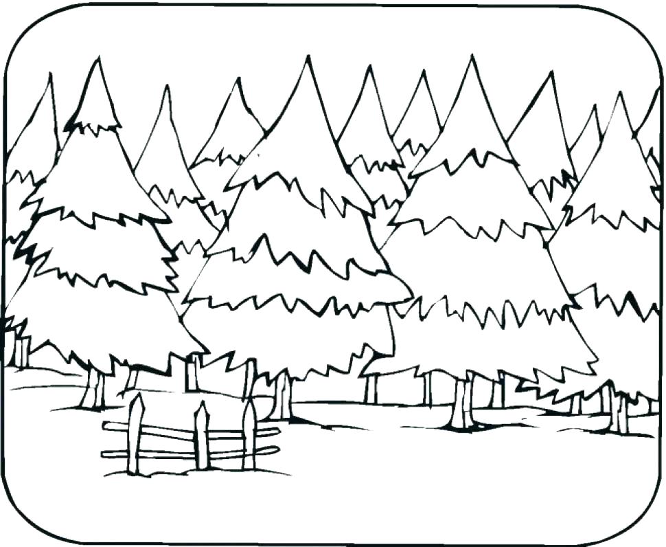970x796 Forest Coloring Pages Print Forest Coloring Pages With Animals