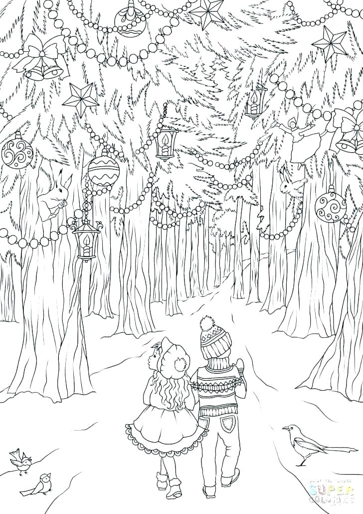 728x1030 Temperate Forest Coloring Pages Vanda