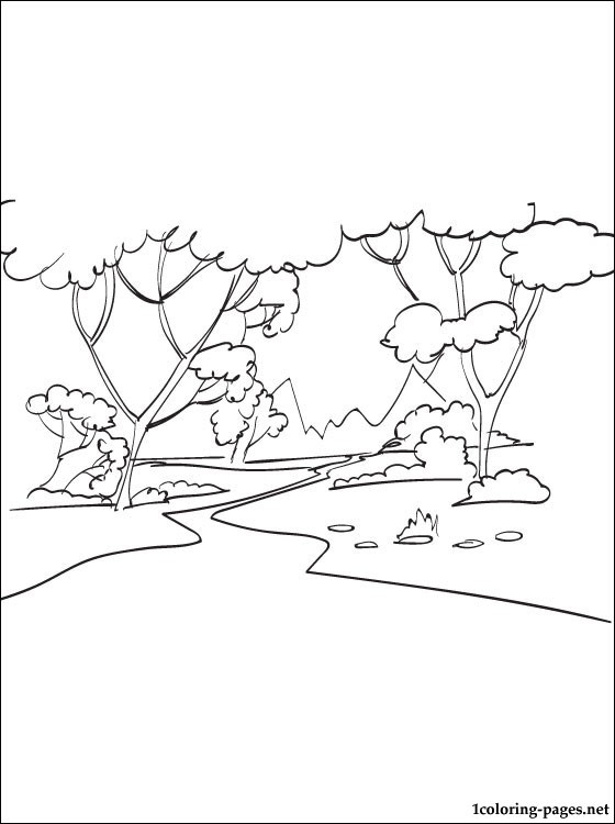 560x750 Forest Coloring Page Coloring Pages