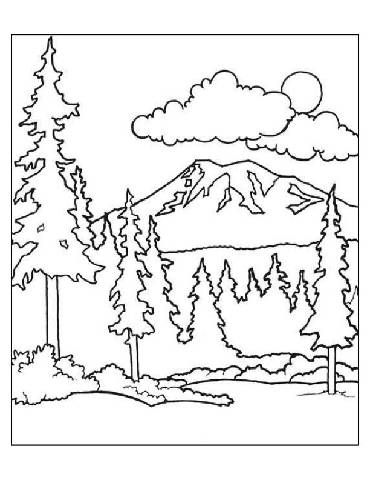 370x480 Preschool Forest Coloring Page