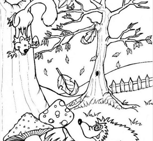 Forest Coloring Pages Printable