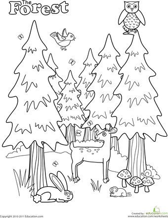 340x440 Forest Coloring Page Worksheets