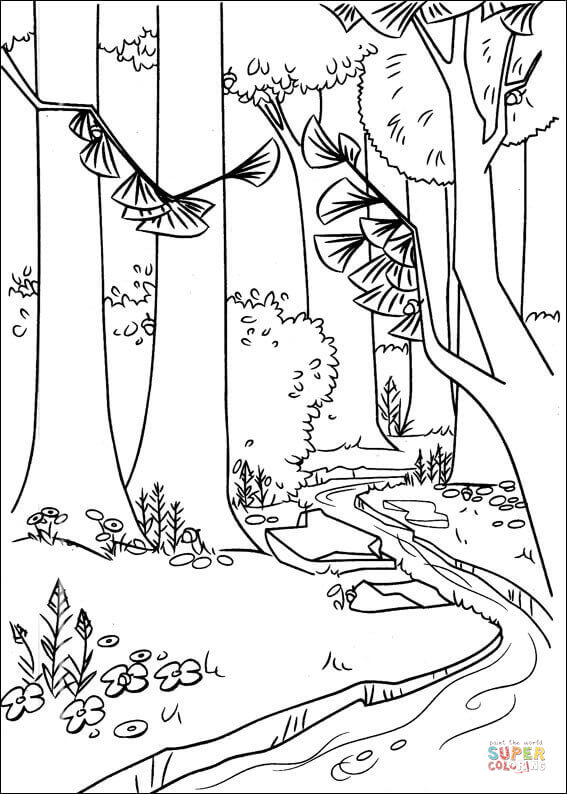567x794 Forest Coloring Pages Printable A River In The Forest Coloring