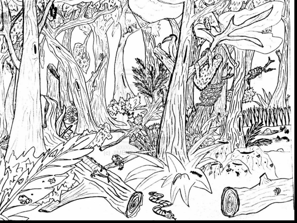 1126x844 Unsurpassed Tropical Forest Coloring Pages Free Printable