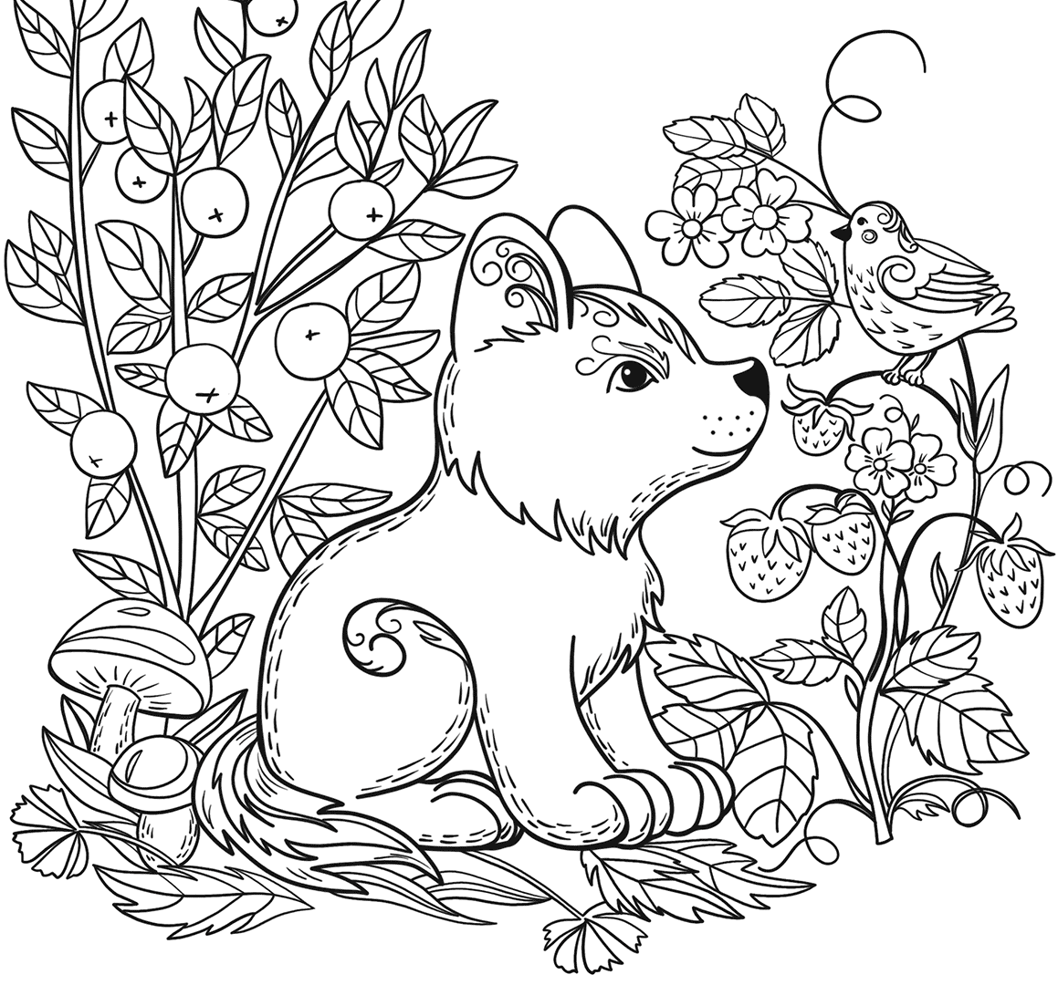 1159x1080 Chronicle Books Enchanted Forest Coloring Book Pages For Adults