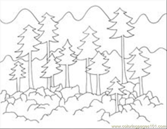 650x502 Foresttrees Coloring Page Free Forest Pages Pertaining To Prepare