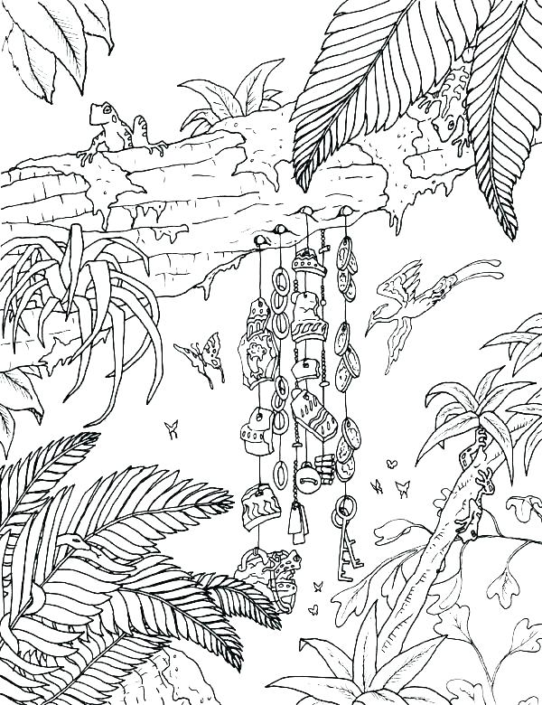 600x780 Temperate Forest Coloring Pages Vanda