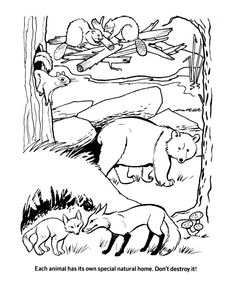 236x288 Forest Habitat Preschool Fun For Everyone! Forest