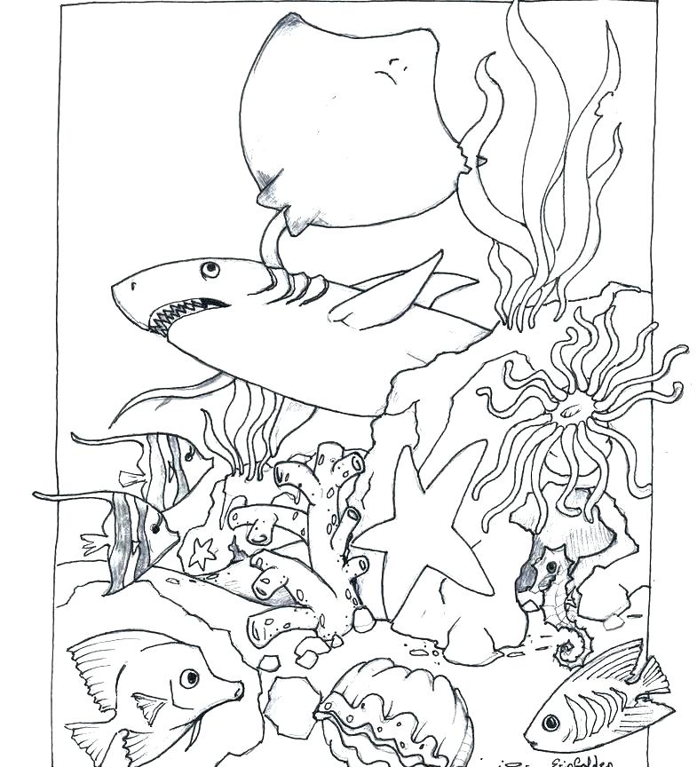 785x864 Animal Habitats Coloring Pages