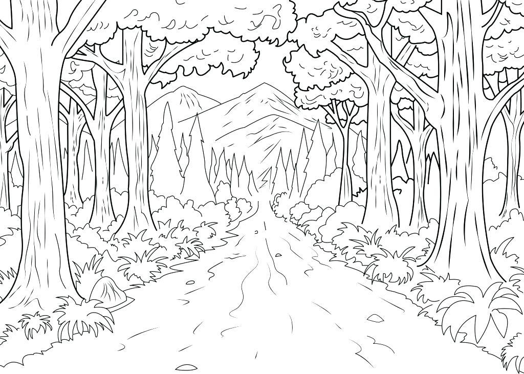 1024x731 Animal Habitat Coloring Pages Pond Coloring Page Pond Animals