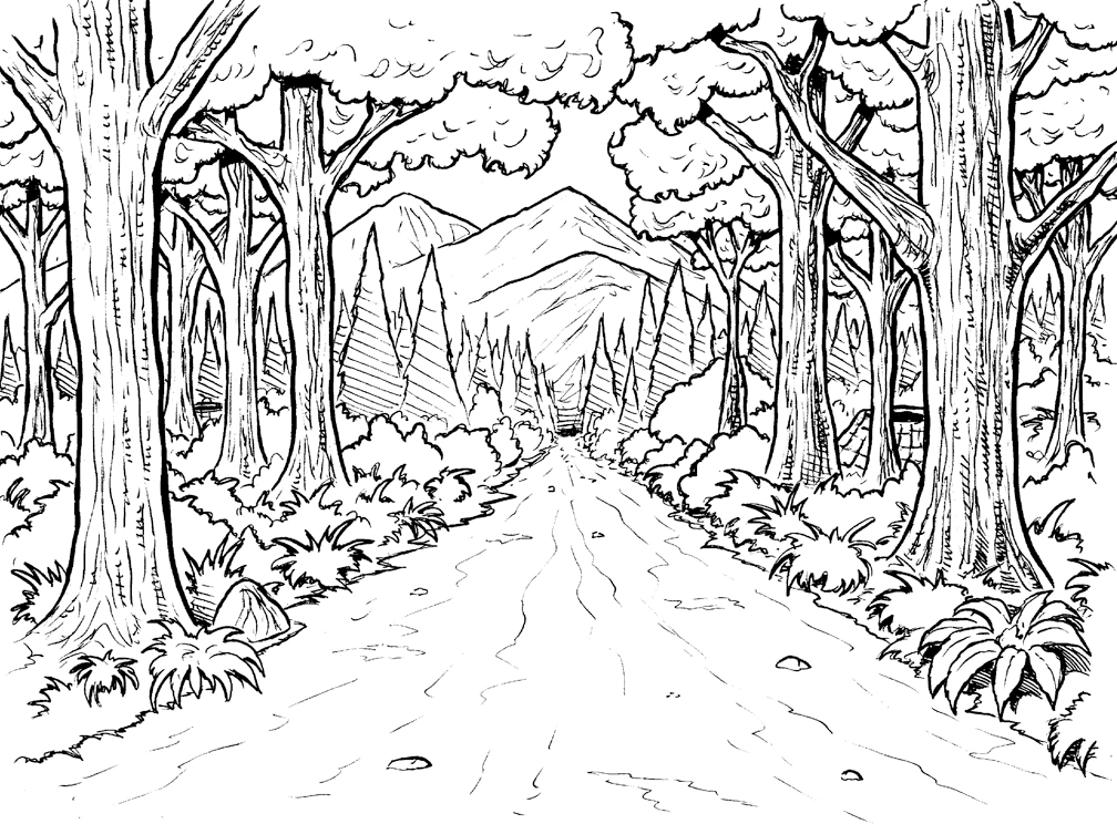 1008x744 Forest Coloring Pages To Print
