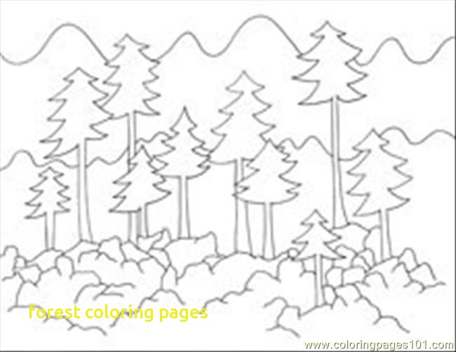 650x502 Forest Coloring Pages With Camping In The Woods Coloring Page