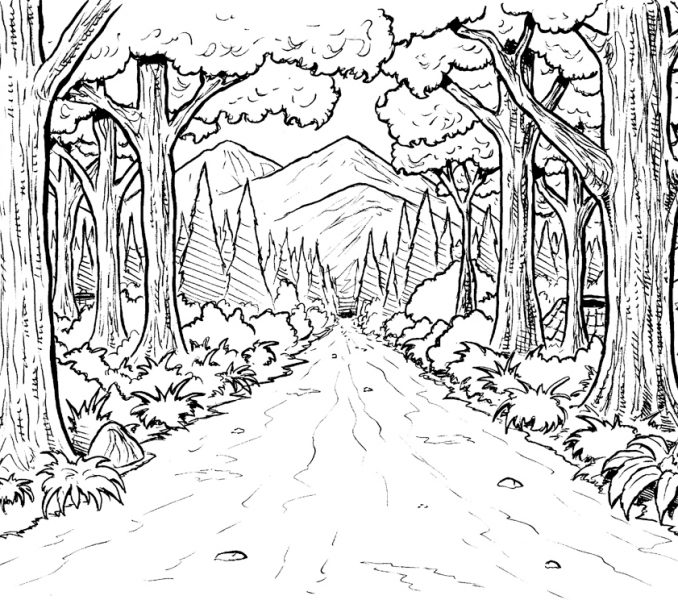 678x600 Forest Coloring Sheets Coloring Page
