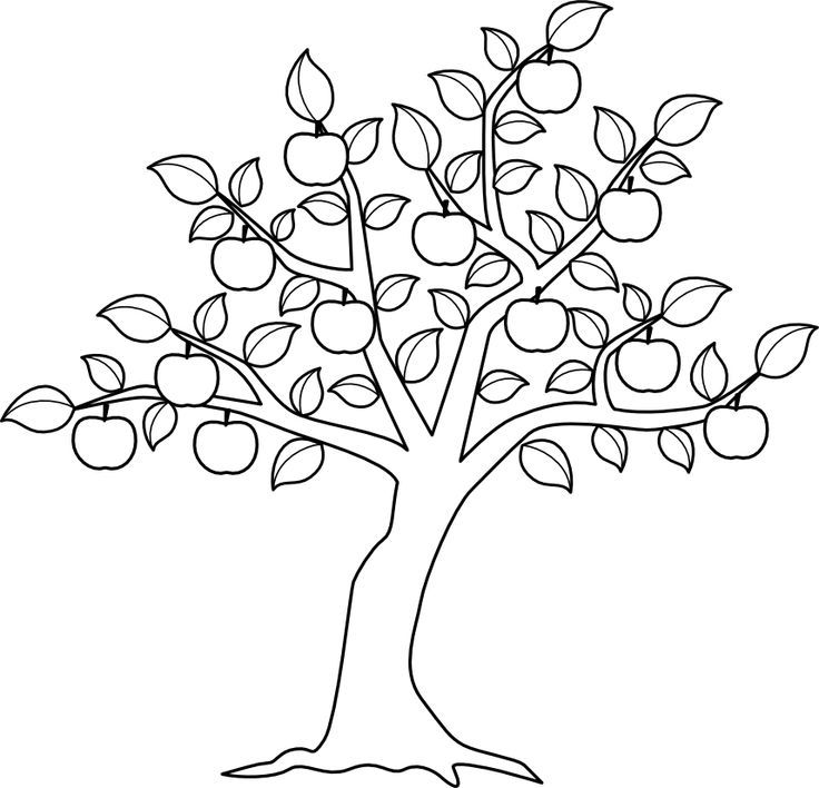 736x708 The Giving Tree Coloring Pages