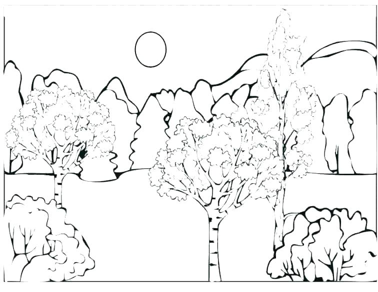 756x585 Rainforest Coloring Pages