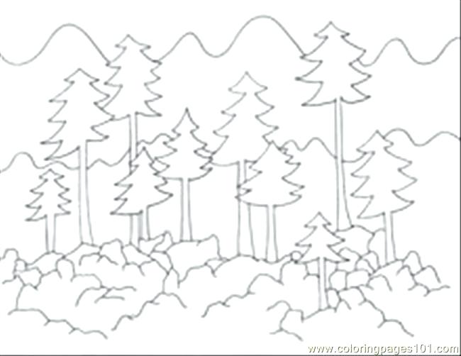 650x502 Forest Coloring Grown For Free Forest Coloring Pages For Your Kids