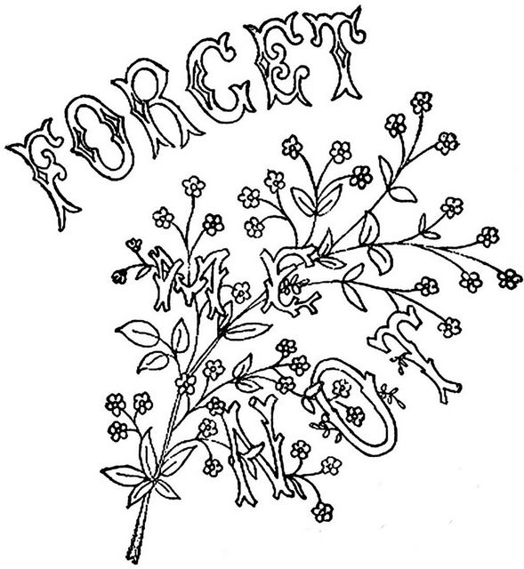 Forget Me Not Coloring Page