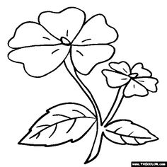 236x236 Forget Me Not Flower Myosotis Online Coloring Page Art Therapy