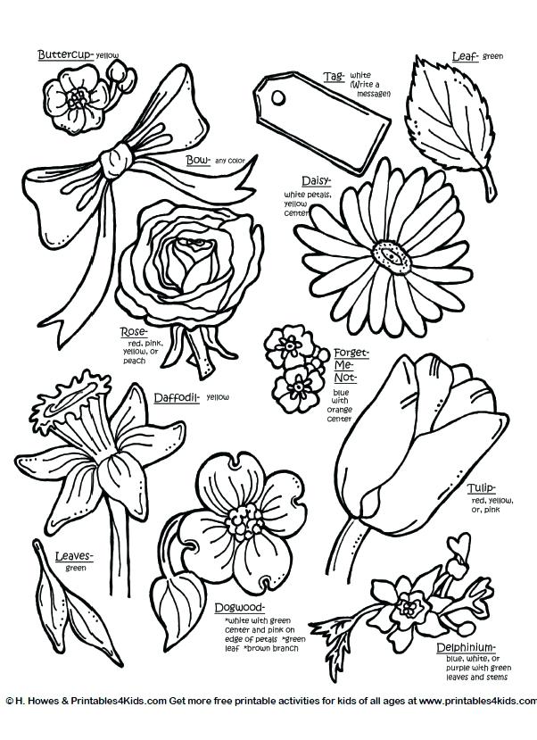 602x829 Free Botany Coloring Pages Kids Coloring Botanical Flowers
