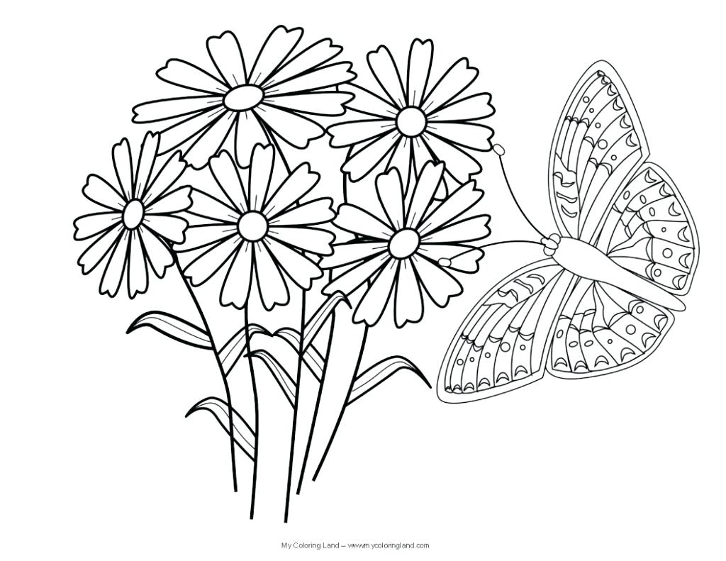 1024x791 Free Flower Coloring Pages Pdf Adult Butterflies And Flowers