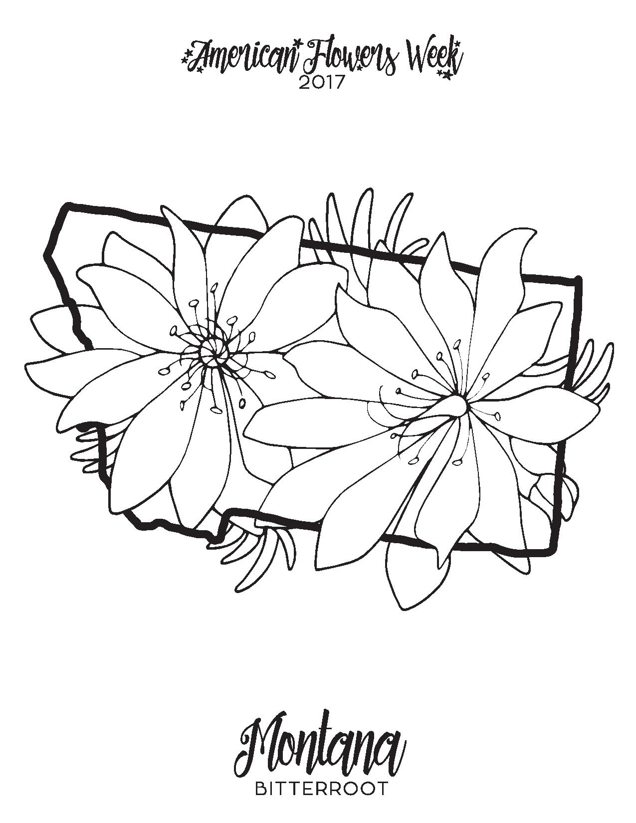 1275x1650 50 State Flowers Free Coloring Pages American Flowers Week