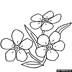 236x236 Forget Me Not