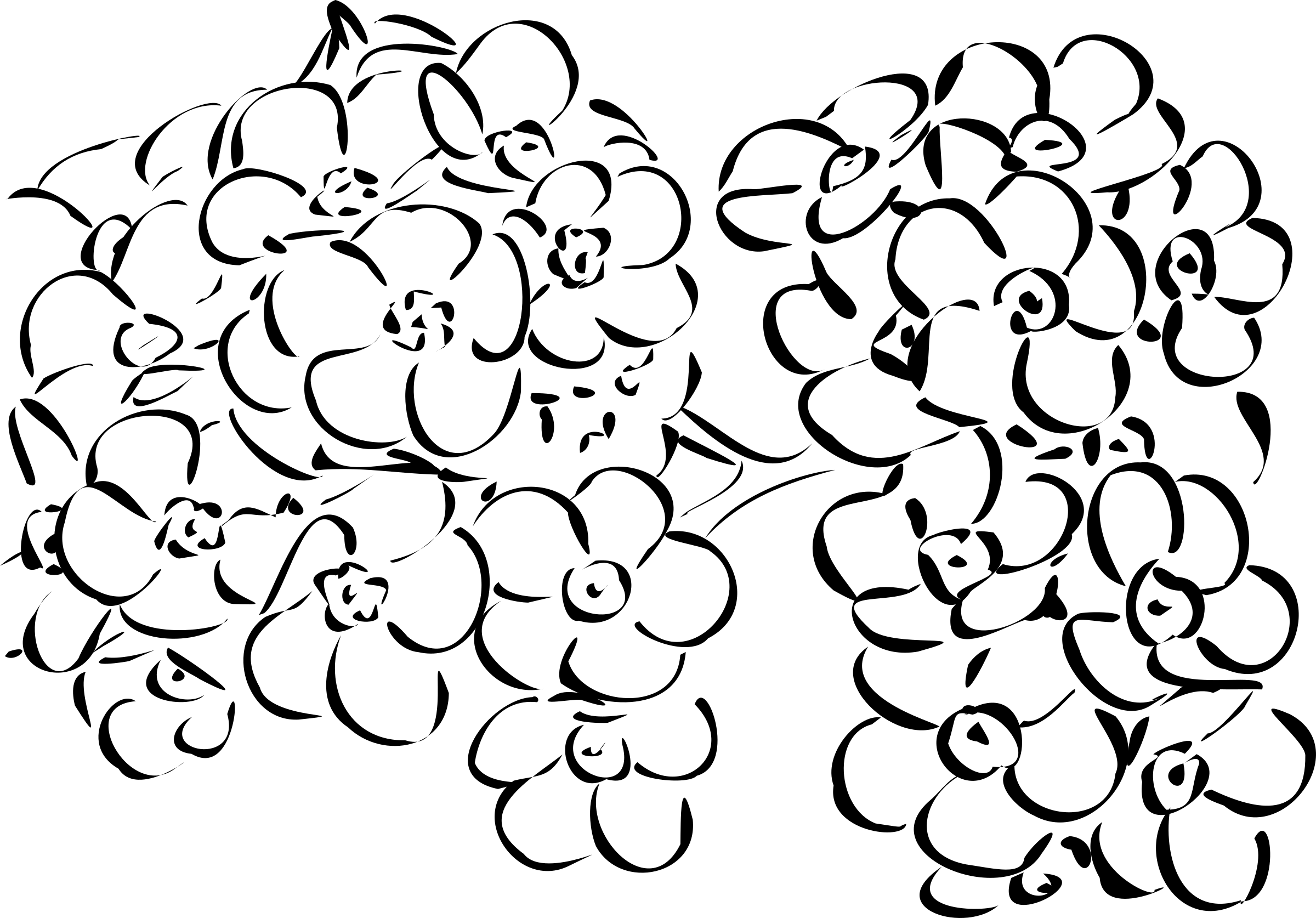 2400x1674 Forget Me Not Icons Png