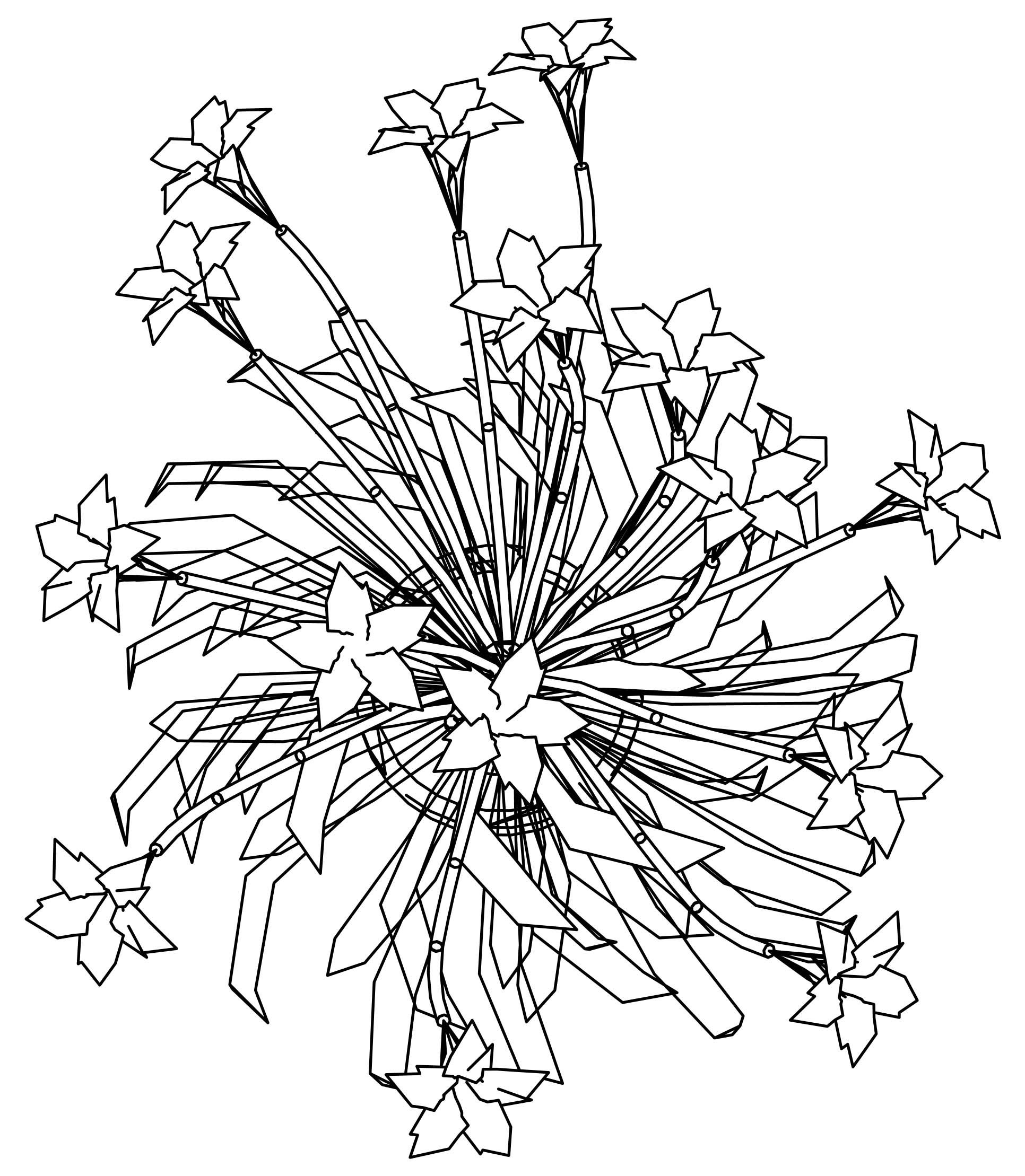 1932x2218 Best Forget Me Not Coloring Page For Flower Outline Inspiration