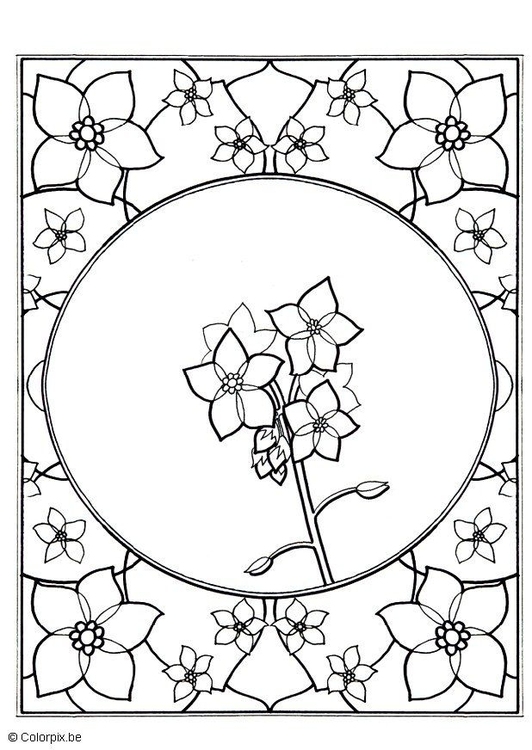 532x750 Coloring Page Forget Me Not