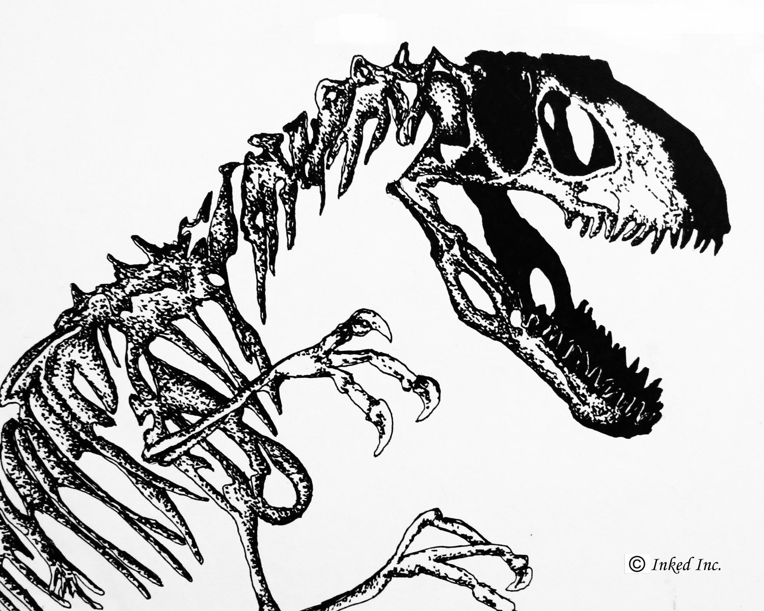1500x1200 Dinosaur Fossil Coloring Page Free Download