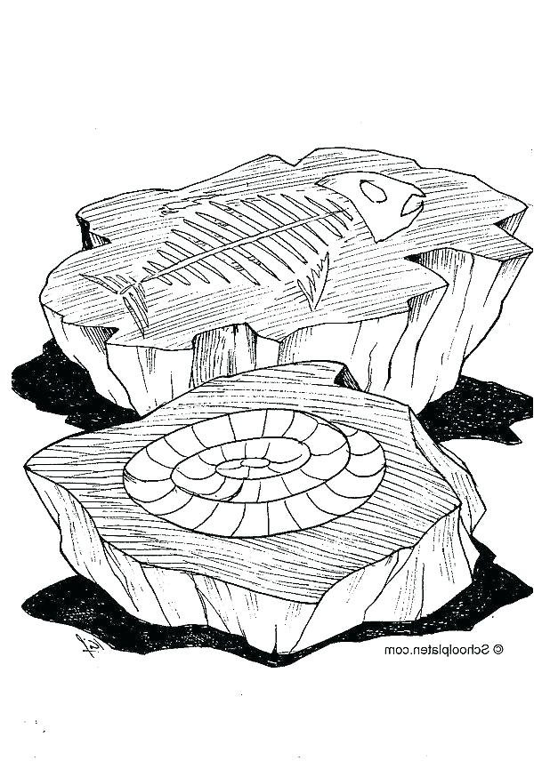 618x874 Fossil Coloring Pages Fossil Coloring Pages Coloring Page Fossil