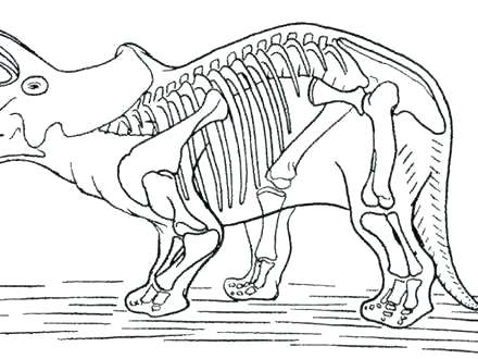 440x330 Fossil Coloring Pages Fossil Coloring Pages Dinosaur Skeleton
