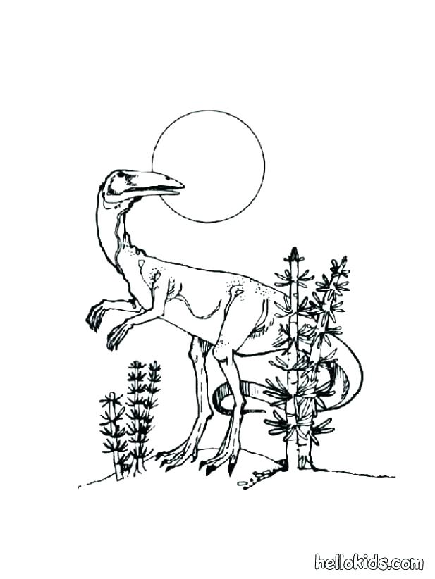 617x822 Fossils Coloring Pages Animal Coloring Pages Free Fossil Coloring