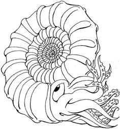 236x254 Collection Of Free Fossil Coloring Pages Fossils, Worksheets