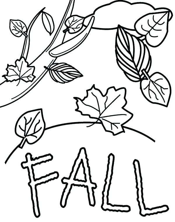 600x760 Seasons Coloring Page Season Coloring Pages Autumn Fall Leaves
