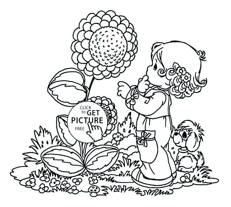 736x661 Seasons Coloring Page Spring Flower Coloring Pages For Big Spring