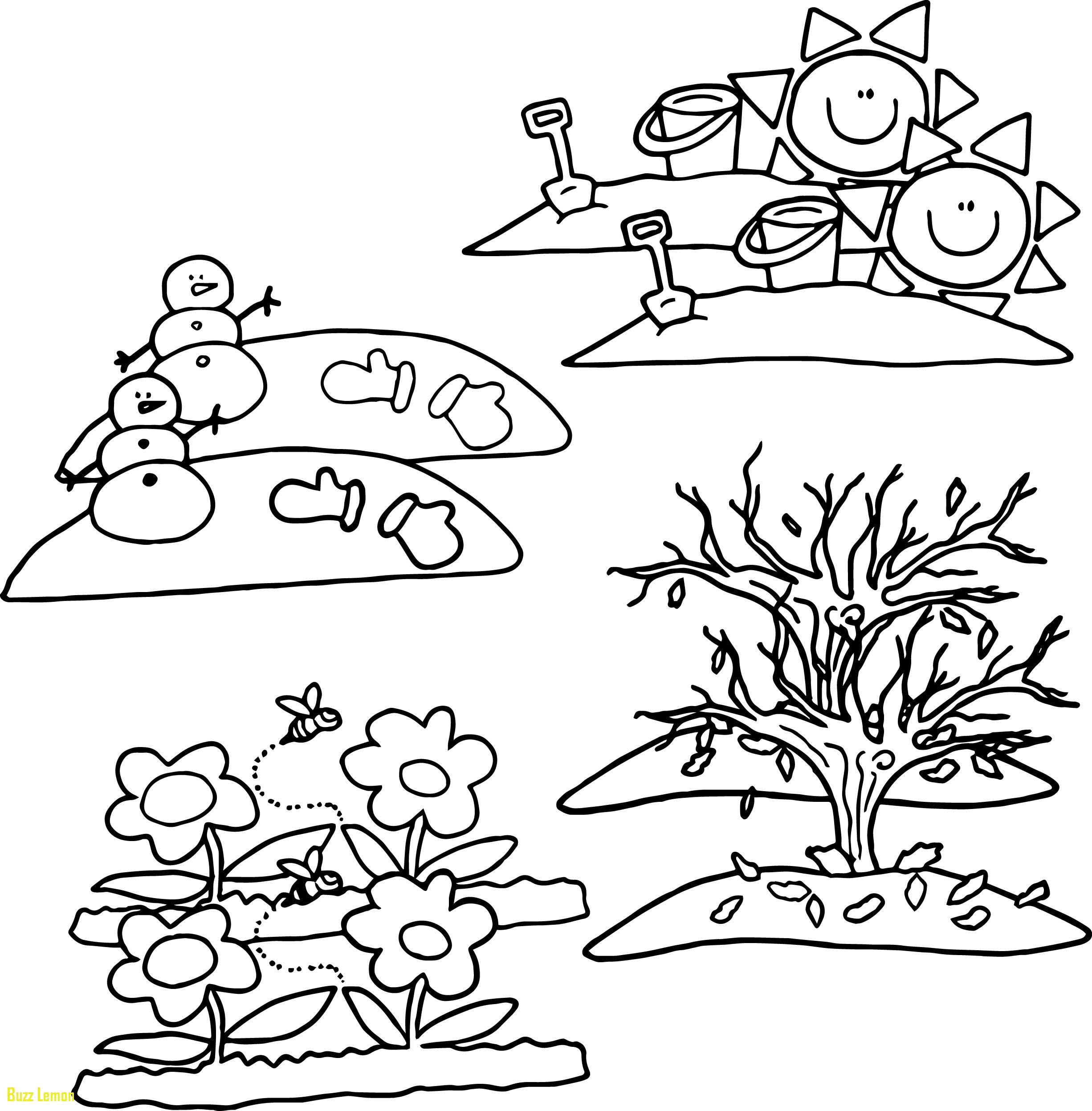 2452x2494 Beautiful 4 Seasons Coloring Page Buzz Coloring