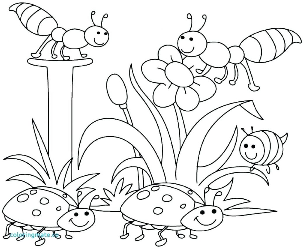1043x855 Winter Weather Coloring Pictures Season 2 3 4 5 Pages Printable