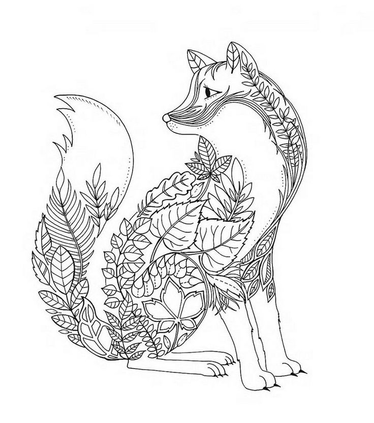 736x833 Coloring Pages For Adults Fox