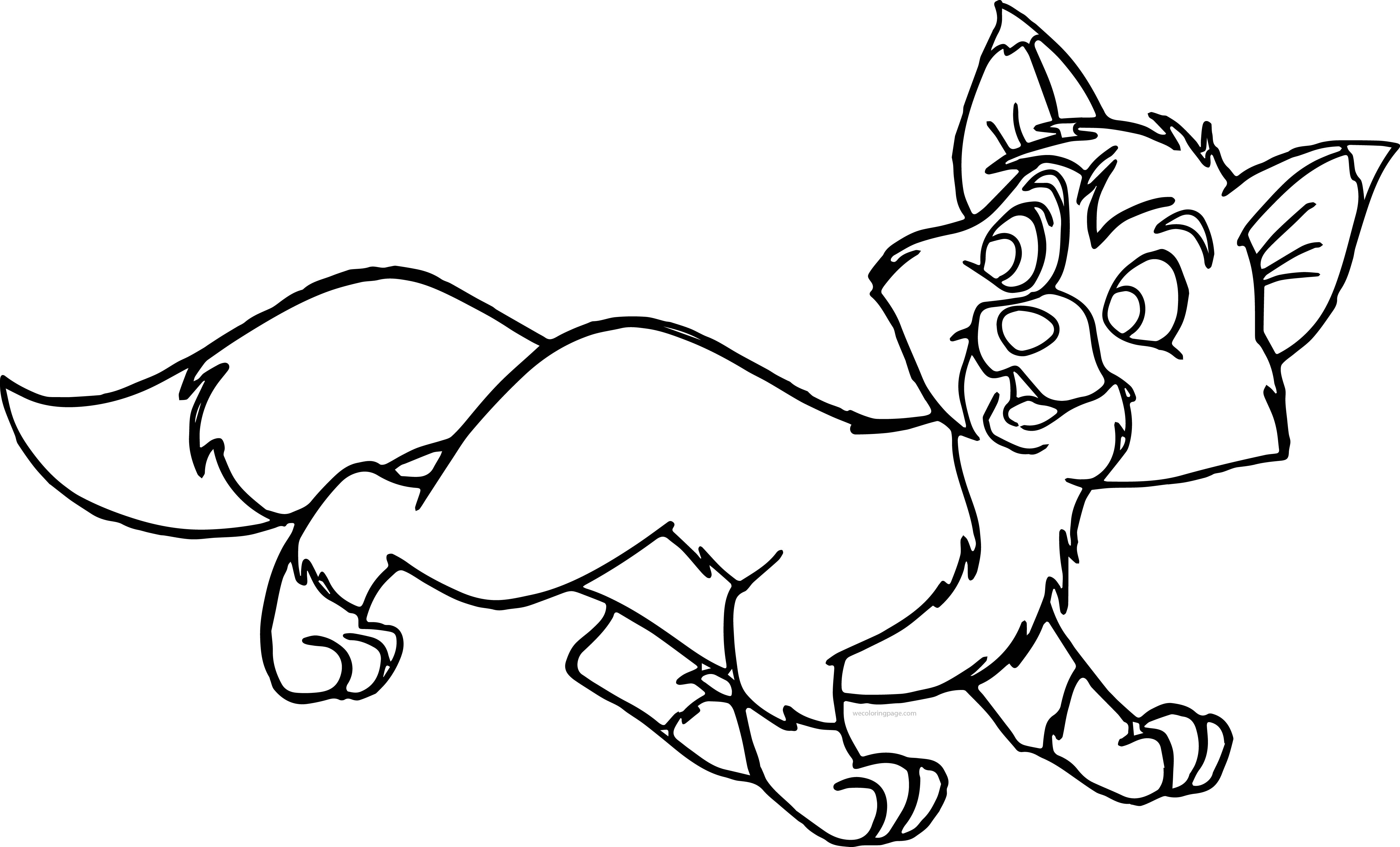 4825x2918 Fox Coloring Pages New Of Foxes 40 9686