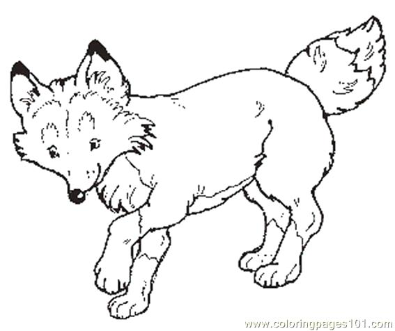 567x476 Winter Coloring Pages For Preschool Mitten Coloring Page Free