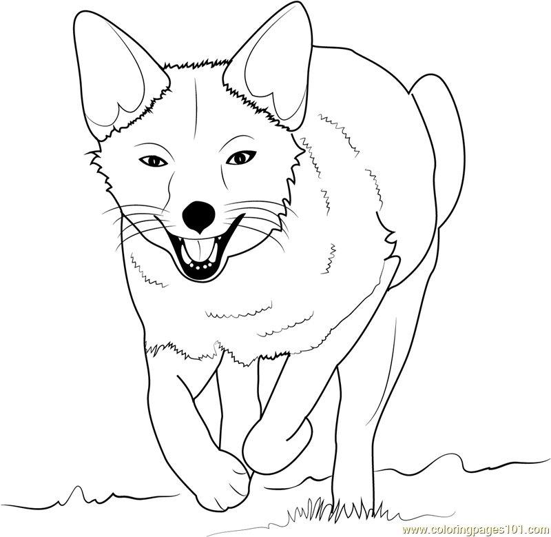 800x779 Fox Running Coloring Page